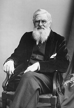 images/Alfred-Russel-Wallace.jpg