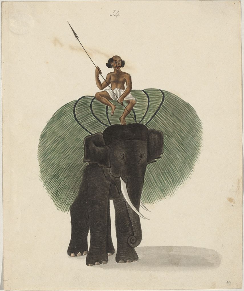 images/An_elephant_carrying.jpg