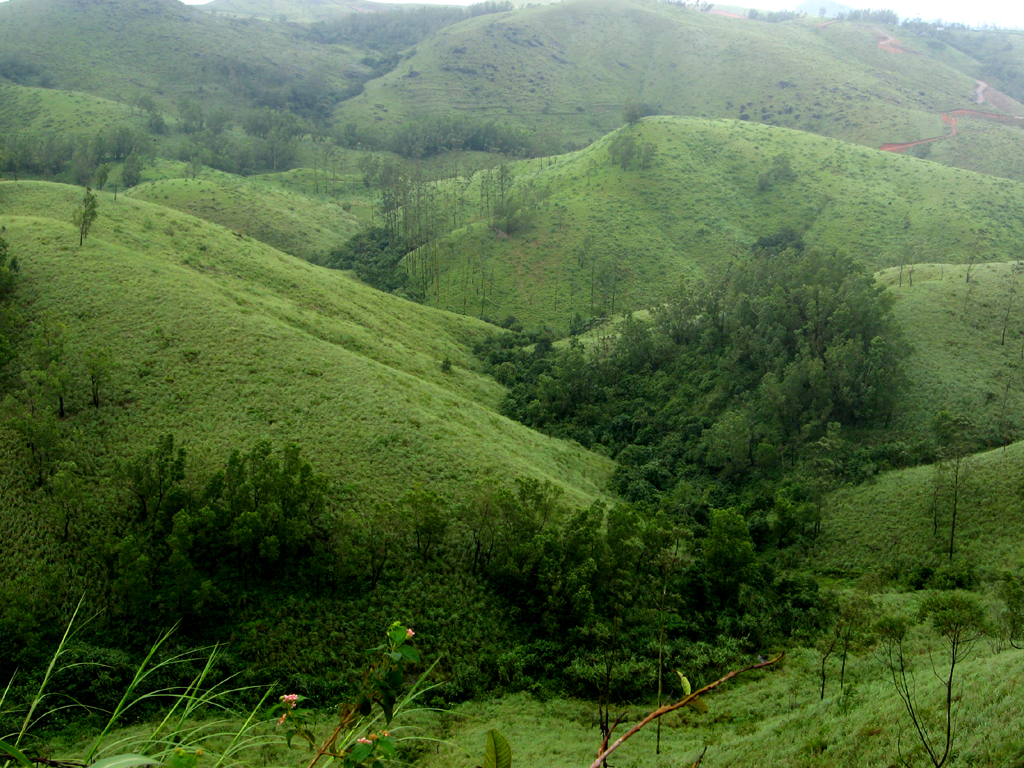 images/Hills_Vagamon.jpg
