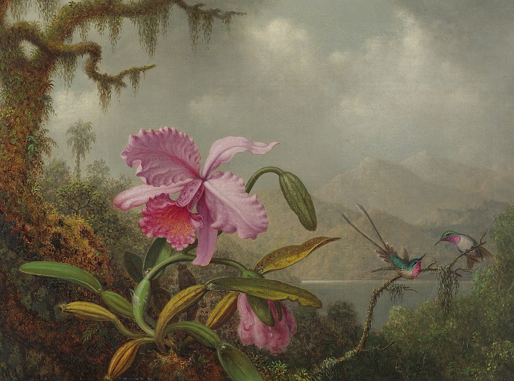 images/Orchids_and_Hummingbirds.jpg