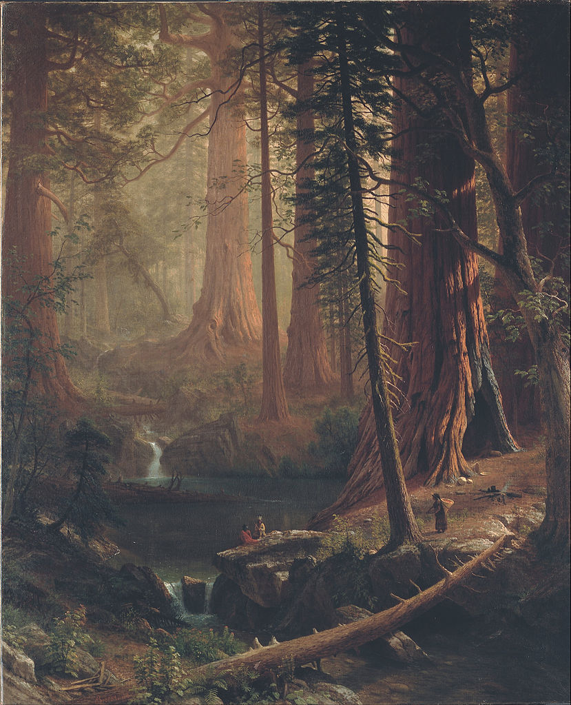 images/Redwood_Trees_of_California.jpg